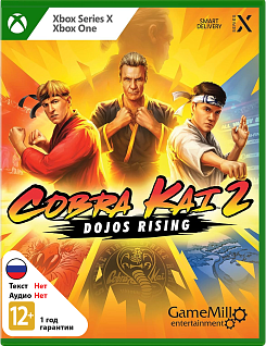 Cobra Kai 2 Dojos Rising