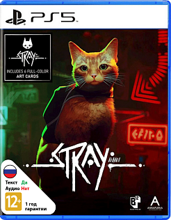 Stray