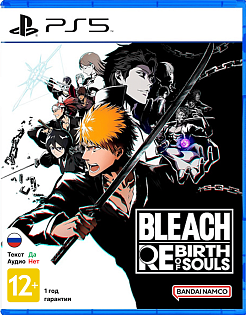 Bleach Rebirth of Souls