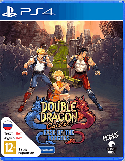 Double Dragon Gaiden Rise of the Dragons