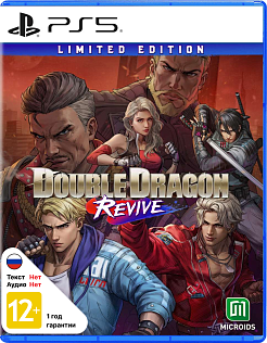 Double Dragon Revive - Limited Edition