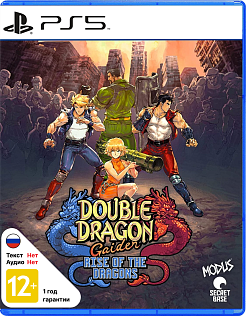 Double Dragon Gaiden Rise of the Dragons