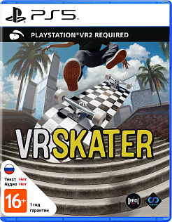 VR Skater