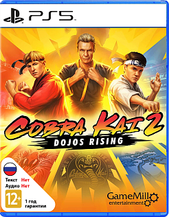 Cobra Kai 2 Dojos Rising