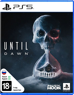 Until Dawn