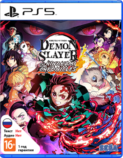 Demon Slayer Kimetsu no Yaiba - The Hinokami Chronicles